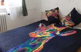 2 camere decomandate Pet Friendly, 45 mp, zona Parcul Primaverii, cartier Manastur