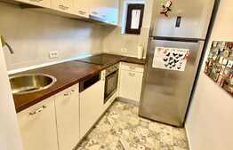 Casa deosebita Cristian, 800 mp curte + 2600 mp gradina