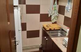 Garsoniera, 25 mp, zona strazii Cernei