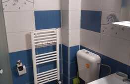 Garsoniera, 25 mp, zona strazii Cernei