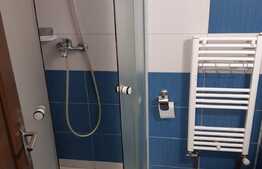 Garsoniera, 25 mp, zona strazii Cernei