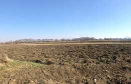 Teren intravilan 10000mp, Bod