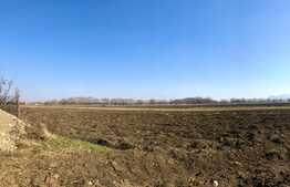 Teren intravilan 10000mp, Bod