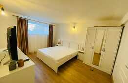 Studio modern zona Poarta Schei+70mp gradina