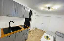 Studio modern zona Poarta Schei+70mp gradina