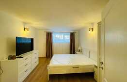 Studio modern zona Poarta Schei+70mp gradina