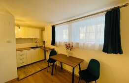 Garsoniera- zona Schei+70mp gradina 