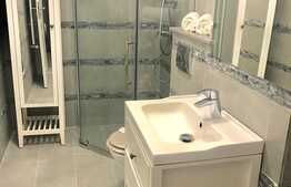 Apartament 1 camera, nisa, balcon, parcare, zona Ira