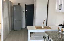 Apartament 1 camera, nisa, balcon, parcare, zona Ira