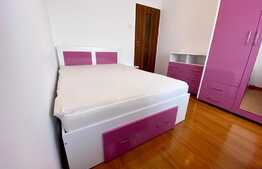 Apartament cu 3 camere, decomandat, 80 mp, pet friendly, loc de parcare, zona strazii Ciocariliei