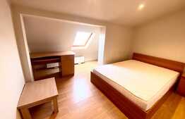 Apartament cu 3 camere, semidecomandat, pet friendly, 80 mp , zona strazii Barbu Patriciu