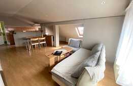 Apartament cu 3 camere, semidecomandat, pet friendly, 80 mp , zona strazii Barbu Patriciu