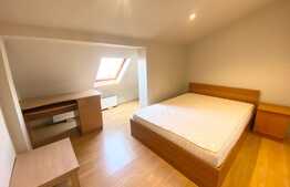 Apartament cu 3 camere, semidecomandat, pet friendly, 80 mp , zona strazii Barbu Patriciu