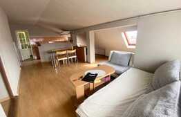 Apartament cu 3 camere, semidecomandat, pet friendly, 80 mp , zona strazii Barbu Patriciu