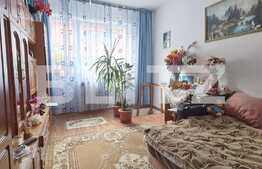 Camera de camin, 20 mp, zona Astra