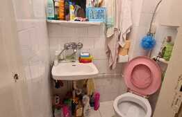 Camera de camin, 20 mp, zona Astra