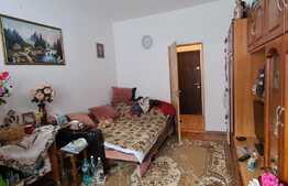 Camera de camin, 20 mp, zona Astra