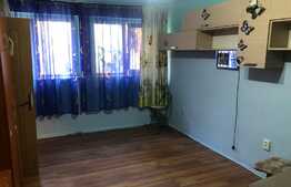 Garsoniera ultracentrala si zona linistita 