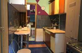 Garsoniera ultracentrala si zona linistita 