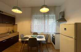 Apartament 2 camere, intr-o cladire interbelica cu o suprafata de 65 mp, zona Platinia 