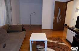 1 camera, decomandat, 40 mp, parcare, mobilat modern, zona magazinului Lidl!