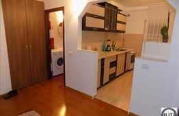 1 camera, decomandat, 40 mp, parcare, mobilat modern, zona magazinului Lidl!