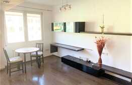 Apartament cu 2 camere, 60 mp, zona strazii Horea