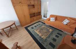 Garsoniera, 30 mp, parcare, etaj intermediar, zona Iulius Mall