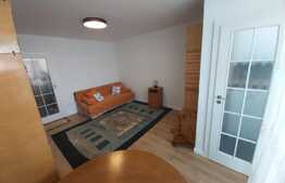 Garsoniera, 30 mp, parcare, etaj intermediar, zona Iulius Mall