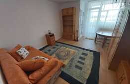 Garsoniera, 30 mp, parcare, etaj intermediar, zona Iulius Mall