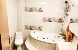 Apartament cu 1 camera, 38mp + balcon, acces facil, zona P-ta Marasti