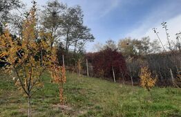 De vanzare casa individuala,135 mp utili, 1553 mp teren