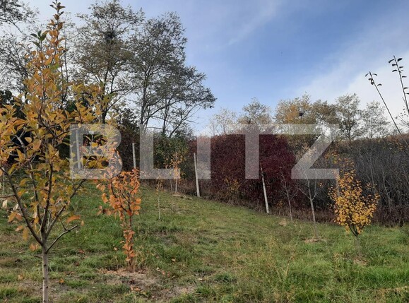 Casa de vânzare 7 camere Exterior Est - 62595CV | BLITZ Cluj-Napoca | Poza12