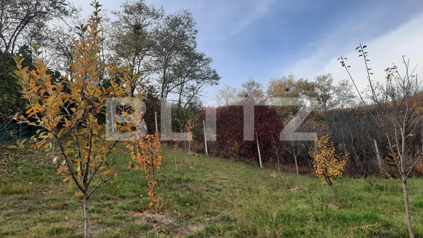 Casa de vânzare 7 camere Exterior Est - 62595CV | BLITZ Cluj-Napoca | Poza12