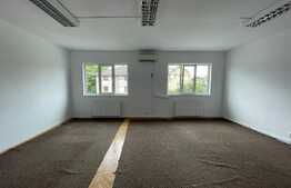 Doar la Blitz ! Casa individuala de vanzare ! 198 mp utili, 468 teren, ideala pentru doua familii, sau business ! 