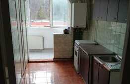 Apartament 2 camere decomandat pe Grivitei 