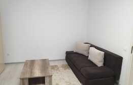 Apartament de 2 camere cu 2 balcoane, Nicolae Labis, Tractorul