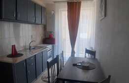 Apartament cochet cu o camera, zona Porii