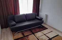 Apartament cochet cu o camera, zona Porii