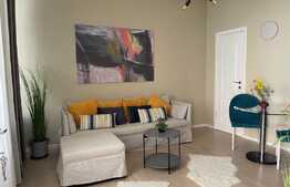 Oportunitate! 3 apartamente in casa, zona centrala, utilate si mobilate lux, parcare