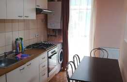 Apartament cu gradina de 30mp, 2 camere semidecomandate, zona centrala! 