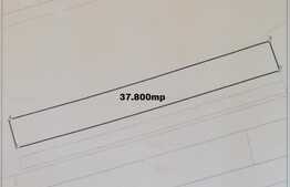 Teren extravilan de vanzare Harman hotar cu Tarlungeni, 37.800mp