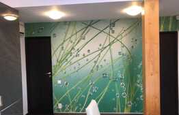 Apartament 2 camere decomandate, 50 mp, zona srazii Fagului