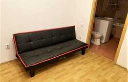 Apartament 1 camera decomandat, 40mp, zona strazii Alverna