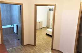 Apartament 1 camera decomandat, 40mp, zona strazii Alverna