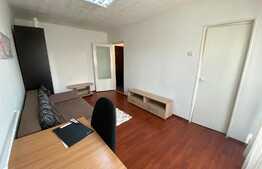 Garsoniera decomandata, 26 mp, pet friendly, zona Profi