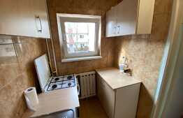 Garsoniera decomandata, 26 mp, pet friendly, zona Profi