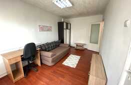 Garsoniera decomandata, 26 mp, pet friendly, zona Profi