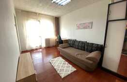 Garsoniera decomandata, 26 mp, pet friendly, zona Profi