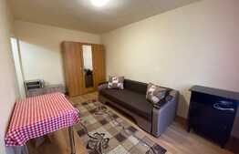 Garsoniera decomandata, 28 mp, zona Profi